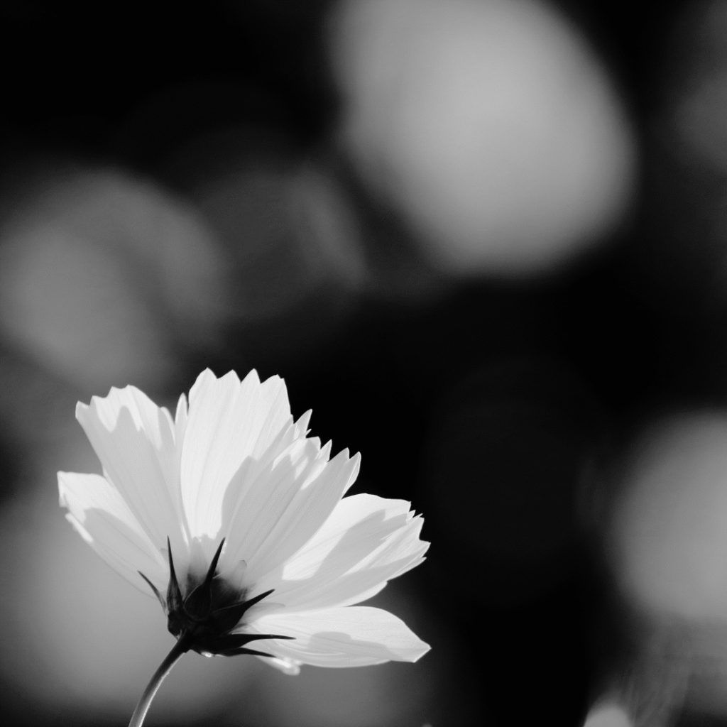 Why Kindness Sometimes Hurts